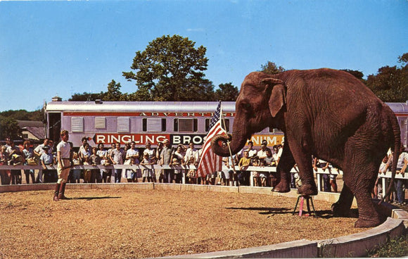Elephant Act, Circus World Museum, Baraboo, WI-Carey's Emporium