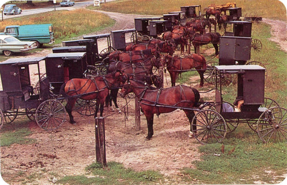 Amish Rigs, Market Day-Carey's Emporium