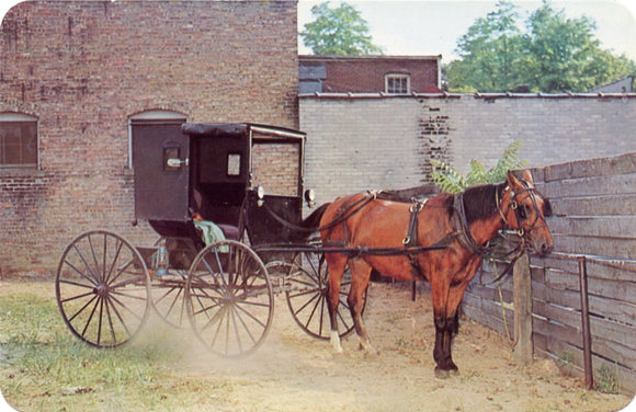 Horse and Buggy Parking Lot, Goshen, IN-Carey's Emporium