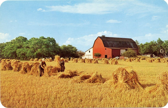 Amish Farms of Northern Indiana-Carey's Emporium