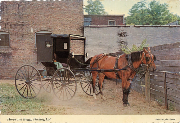Horse and Buggy Parking Lot, Northern Indiana-Carey's Emporium