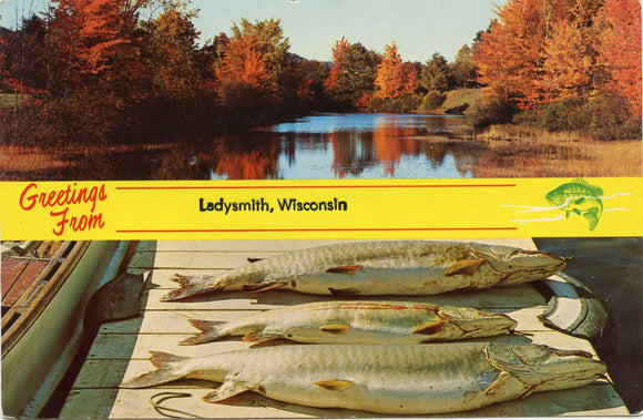 Greetings from Ladysmith, WI-Carey's Emporium