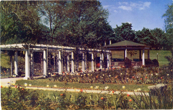 The Formal Gardens of the Army Medical Center, Washington, DC-Carey's Emporium