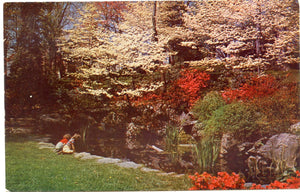 Springtime Garden, Home of R. H. Clemmer, Waynesboro, VA-Carey's Emporium