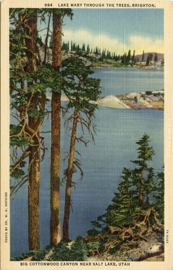 Lake Mary Through the Trees, Brighton, Big Cottonwood Canyon, near Salt Lake City, UT-Carey's Emporium