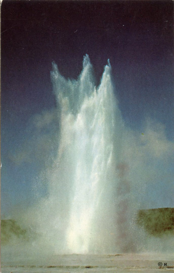 Great Fountain Geyser, Lower Geyser Basin, Yellowstone National Park-Carey's Emporium