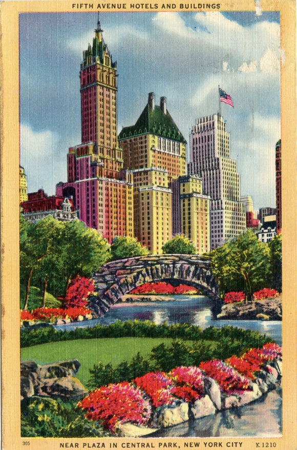 Fifth Avenue Hotels and Buildings, Near Plaza in Central Park, New York City, NY-Carey's Emporium