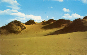 Sand Dunes on Outer Cape Cod, MA-Carey's Emporium