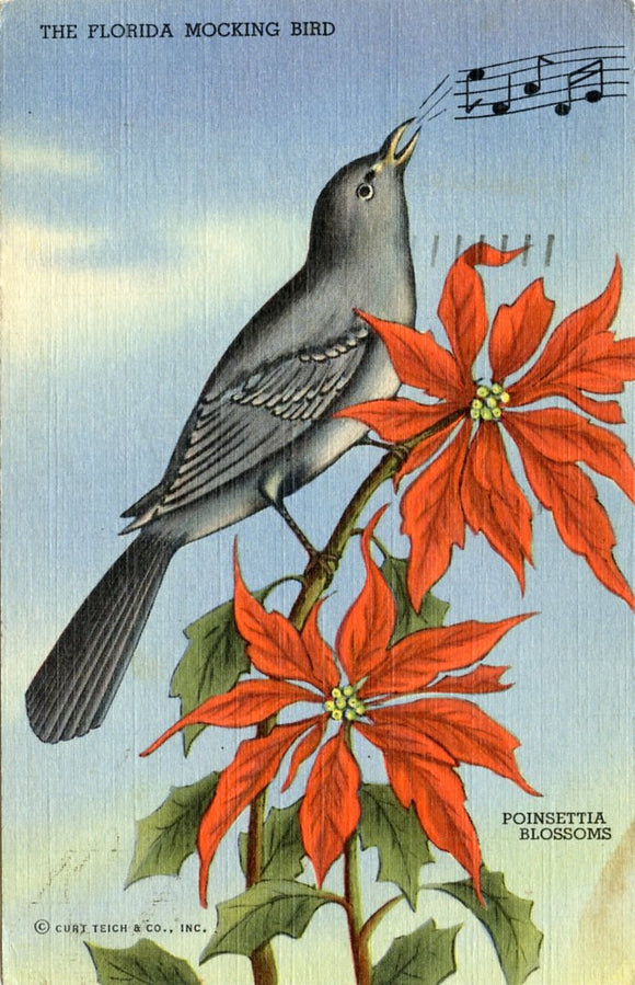 The Florida Mocking Bird and Poinsettia Blossoms-Carey's Emporium