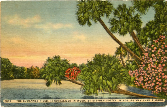 The Suwannee River, Immortalized in Music by Stephen Foster, Winds its Way Thru Florida-Carey's Emporium