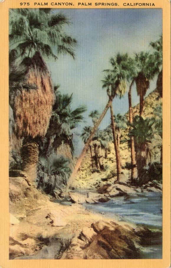 Palm Canyon, Palm Springs, CA-Carey's Emporium