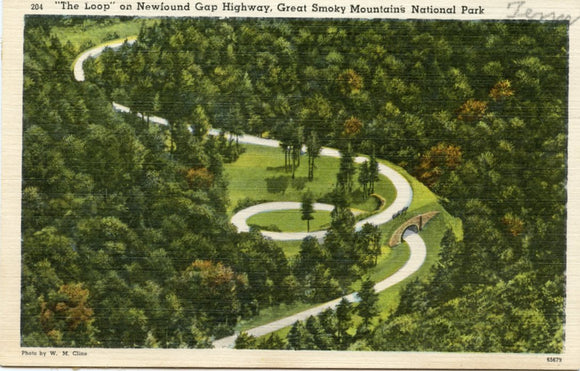 The Loop on Newfound Gap Highway, Great Smoky Mountains National Park-Carey's Emporium
