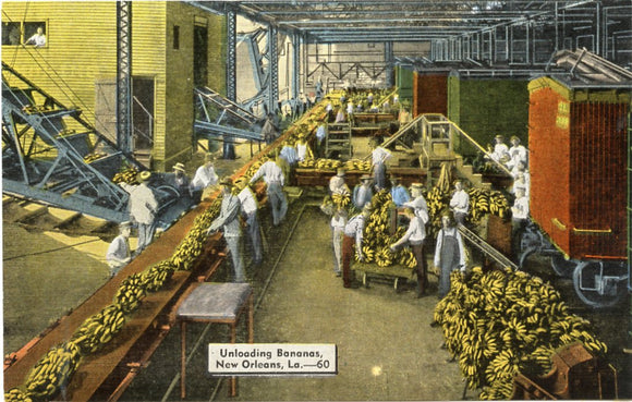 Unloading Bananas, New Orleans, LA-Carey's Emporium