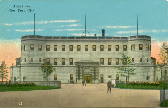 Aquarium, New York City, NY-Carey's Emporium