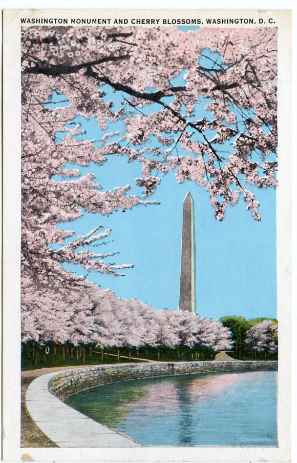 Washington Monument and Cherry Blossoms, Washington, DC-Carey's Emporium