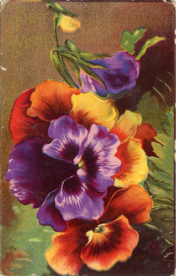 Best Wishes-Carey's Emporium