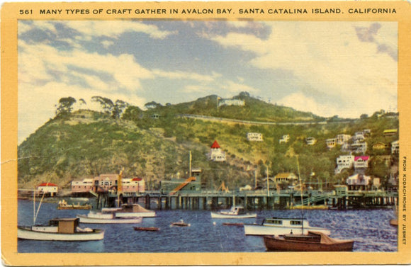 Many Types of Craft Gather in Avalon Bay, Santa Catalina Island, CA-Carey's Emporium