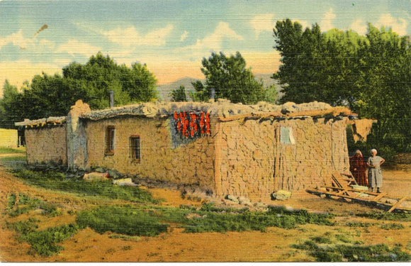 A Bit of Old New Mexico-Carey's Emporium