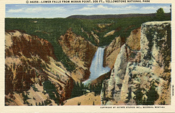 Lower Falls from Moran Point, 308 Ft., Yellowstone National Park-Carey's Emporium