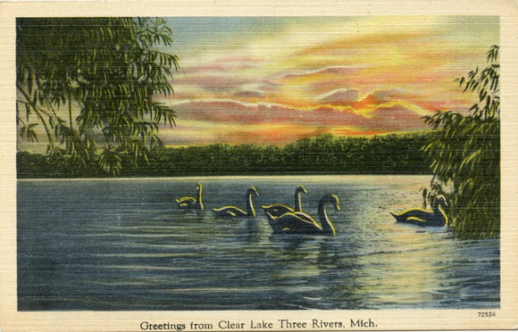 Greetings from Clear Lake, Three Rivers, MI-Carey's Emporium