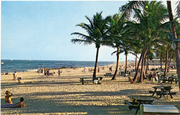 Wide Sandy Golden Beach, Graced by Swaying Coconut Palms, at Fort Lauderdale, FL-Carey's Emporium