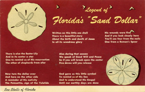 Legend of Florida's Sand Dollar-Carey's Emporium
