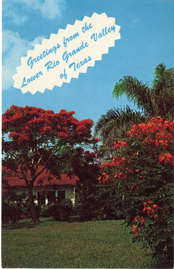 Greetings from the Lower Rio Grande Valley of Texas-Carey's Emporium