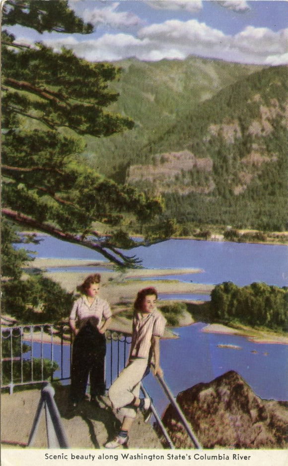 Scenic Beauty Along Washington State's Columbia River-Carey's Emporium