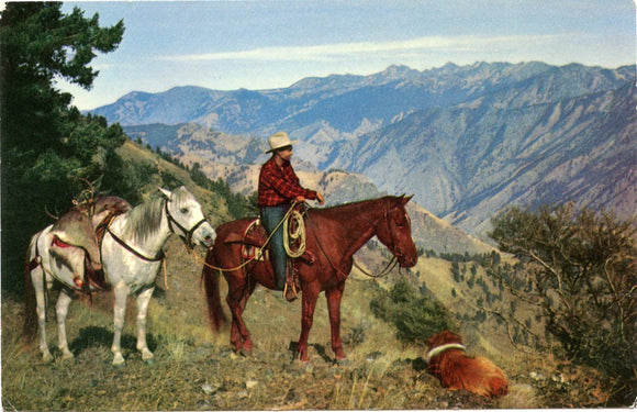 Western Deer Hunter-Carey's Emporium