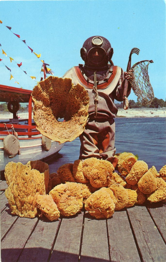 Sponge Diver with Specimen of Fine Sponges, at Tarpon Springs, FL-Carey's Emporium