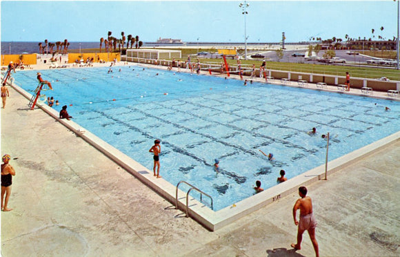 The All New North Shore Pool, St. Petersburg, FL-Carey's Emporium