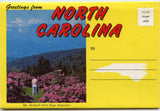 Greetings from North Carolina Souvenir Folder-Carey's Emporium