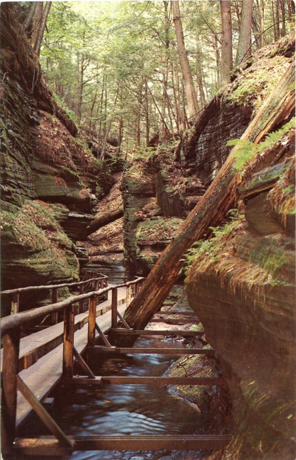 Witches Gulch, Wisconsin Dells, WI-Carey's Emporium