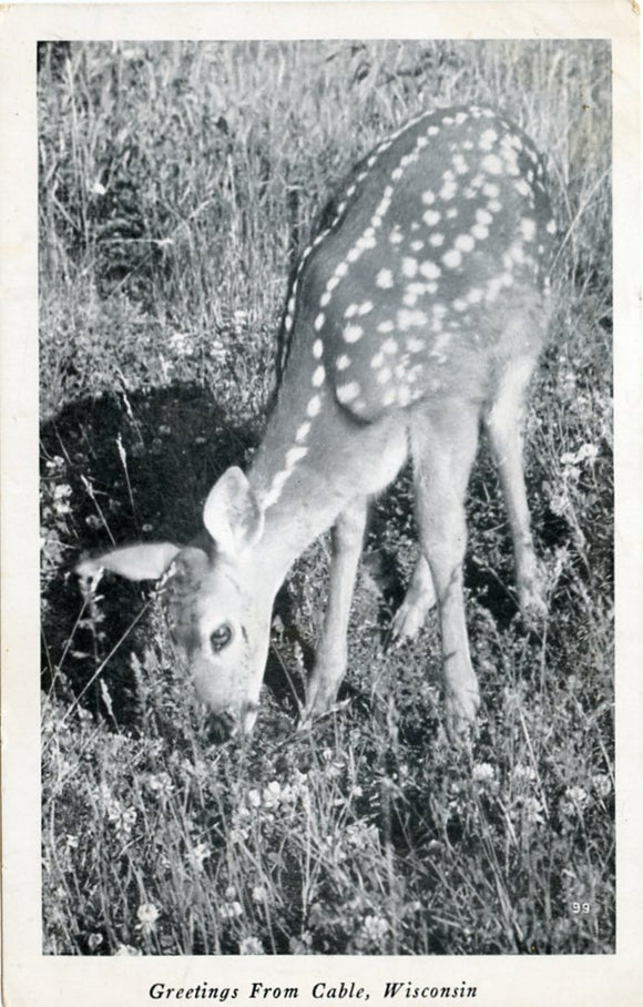 Greetings from Cable, WI-Carey's Emporium