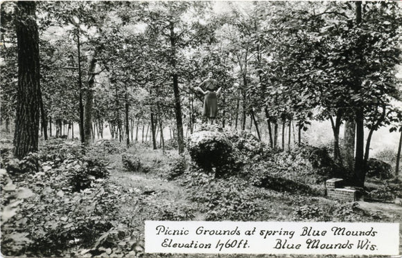 Picnic Grounds at Spring Blue Mound, Elevation 1760 ft., Blue Mounds, WI-Carey's Emporium