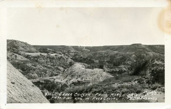 View Cedar Canyon from North, Petrified Log in Foreground, ND Badlands-Carey's Emporium
