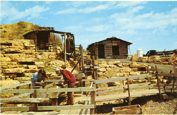 Janesville Oasis, Janesville, WI-Carey's Emporium