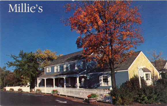 Millie's, Delavan, WI-Carey's Emporium