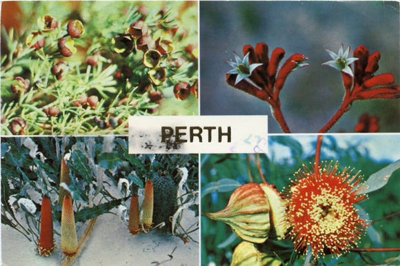 Perth, Australia-Carey's Emporium