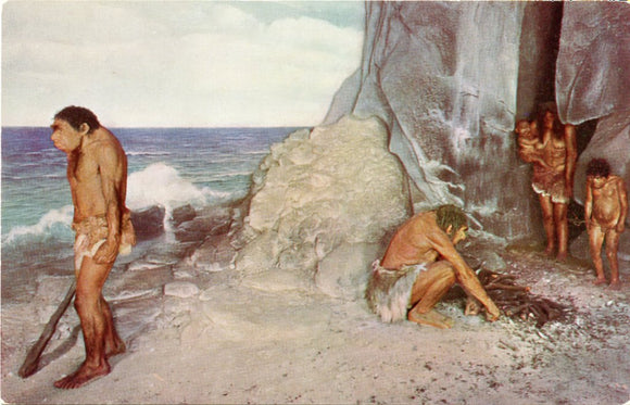 Restoration of a Neanderthal Family, Chicago Natural History Museum, IL-Carey's Emporium