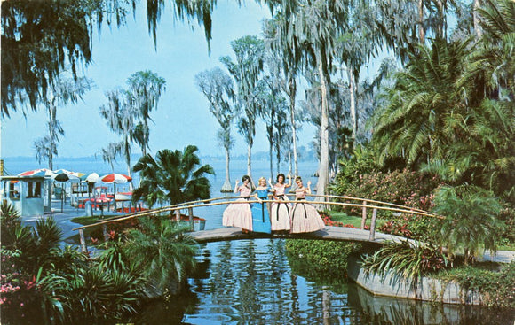 Beautiful Girls and Colorful Tropical Surroundings Make a Perfect Combination at Beautiful Cypress Gardens, FL-Carey's Emporium