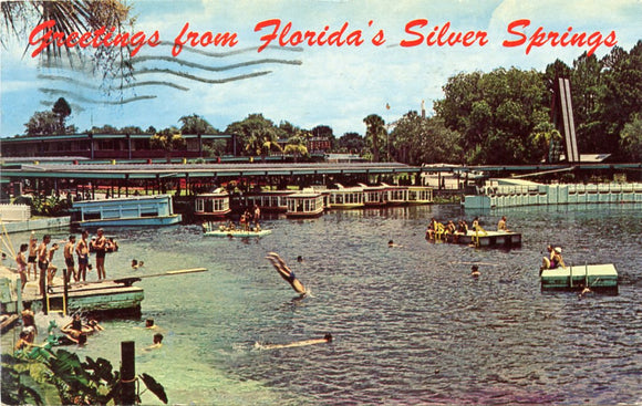 Greetings from Florida's Silver Springs-Carey's Emporium