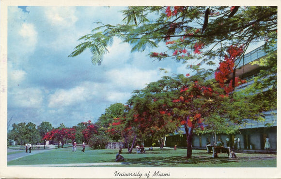 University of Miami, at Coral Gables, FL-Carey's Emporium