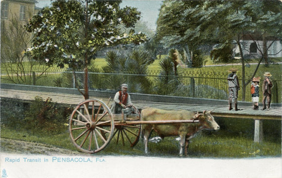 Rapid Transit in Pensacola, FL-Carey's Emporium