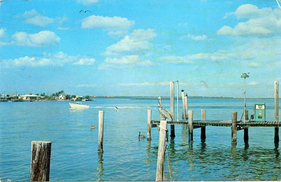 Blue Florida Waters-Carey's Emporium