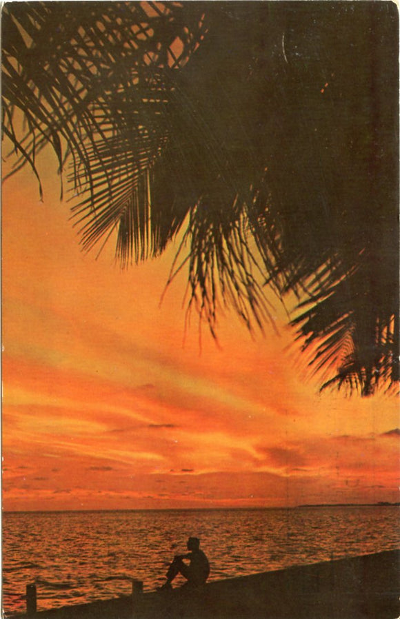 Florida Sunsets Make a Breathtaking Sight-Carey's Emporium