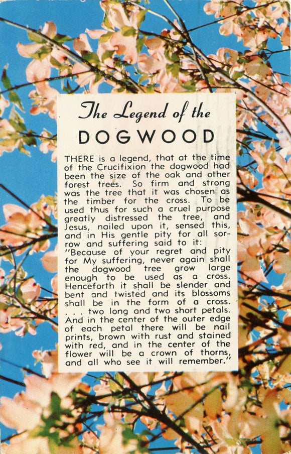 The Legend of the Dogwood-Carey's Emporium