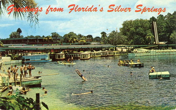 Greetings from Florida's Silver Springs-Carey's Emporium
