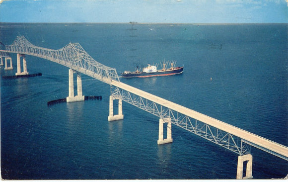 The Spectacular Sunshine Skyway, St. Petersburg, FL-Carey's Emporium