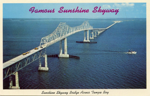 Famous Sunshine Skyway Bridge, St. Petersburg, FL-Carey's Emporium